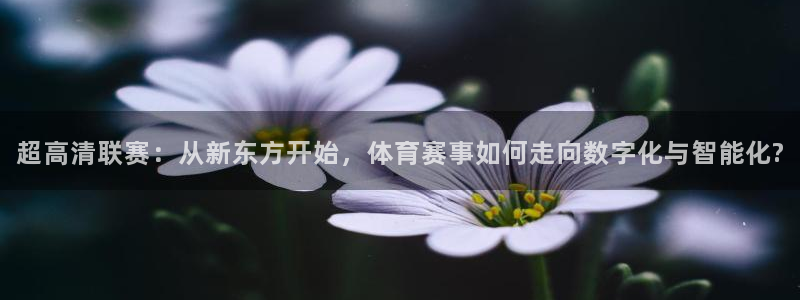 超高清联赛：从新东方开始，体育赛事如何走向数字化与智能化?