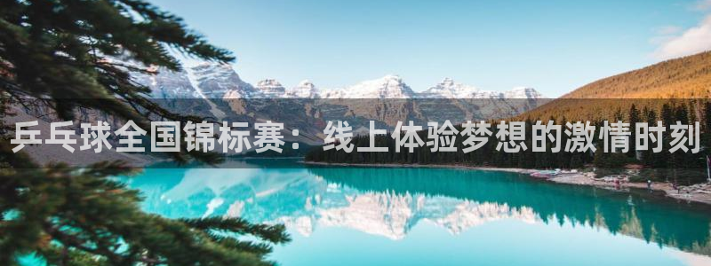 乒乓球全国锦标赛：线上体验梦想的激情时刻