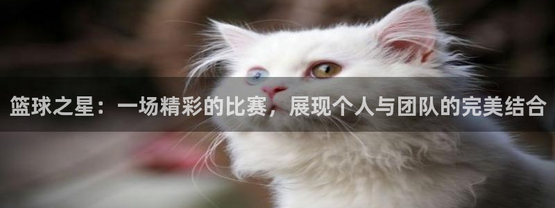 篮球之星：一场精彩的比赛，展现个人与团队的完美结合