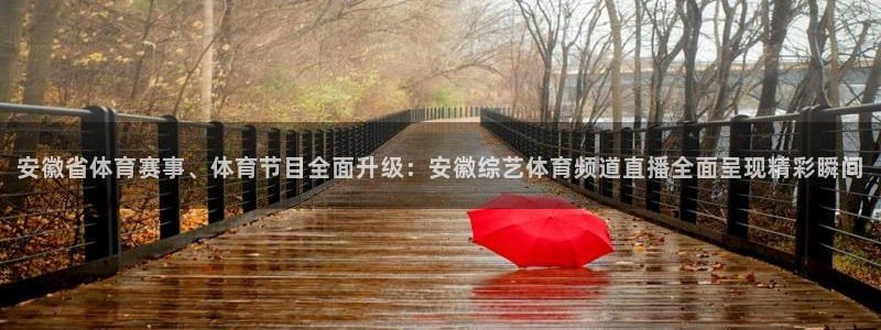 安徽省体育赛事、体育节目全面升级：安徽综艺体育频道直播全面呈现精彩瞬间