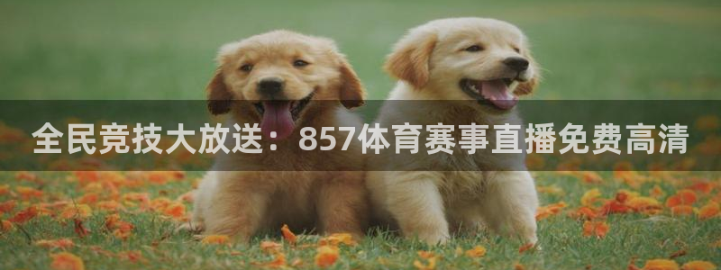 全民竞技大放送：857体育赛事直播免费高清