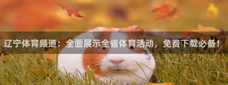 辽宁体育频道：全面展示全省体育活动，免费下载必备！