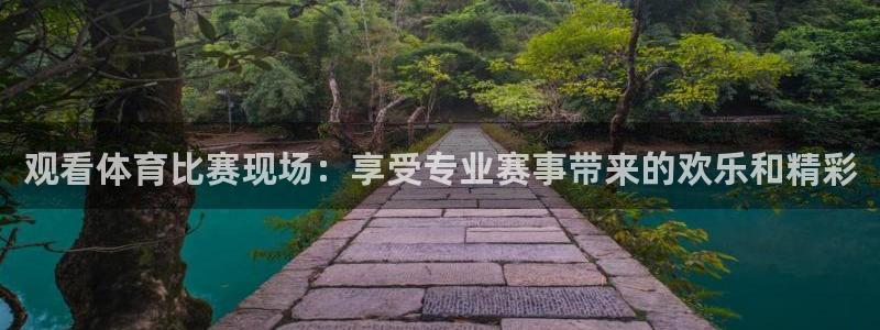观看体育比赛现场：享受专业赛事带来的欢乐和精彩