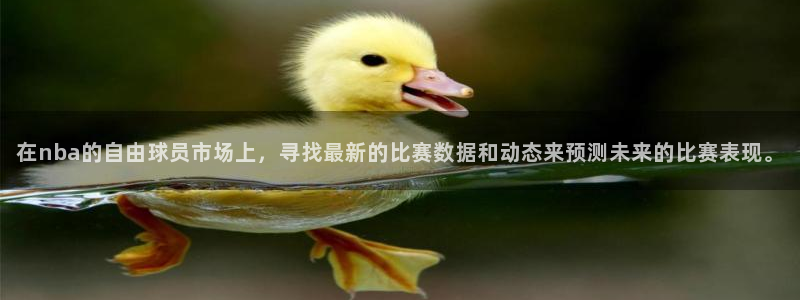 在nba的自由球员市场上，寻找最新的比赛数据和动态来预测未来的比赛表现。