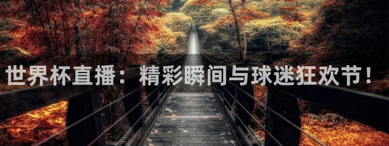 世界杯直播：精彩瞬间与球迷狂欢节！