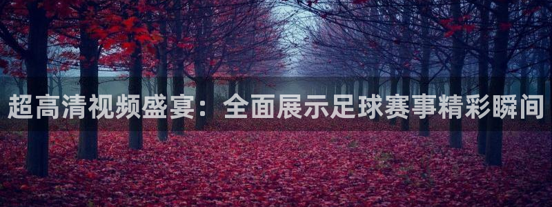 中国足球队世界杯赛程：超高清视频盛宴：全面展示足球赛事精彩瞬间