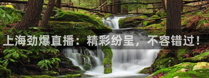 世界杯亚洲足球预选赛赛程：上海劲爆直播：精彩纷呈，不容错过！