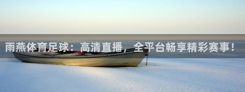2026年世界杯赛制：雨燕体育足球：高清直播，全平台畅享精彩赛事！