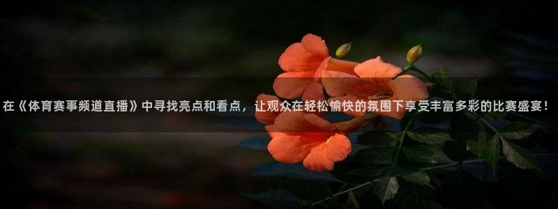 2006年世界杯比赛视频：在《体育赛事频道直播》中寻找亮点和看点，让观众在轻松愉快的氛围下享受丰富多彩的比赛盛宴！