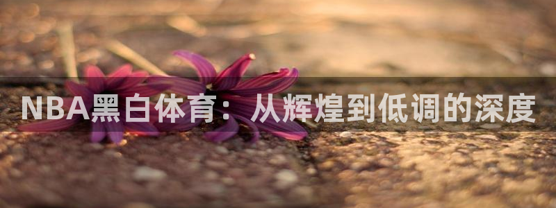 2022年世界杯 赛程：NBA黑白体育：从辉煌到低调的深度