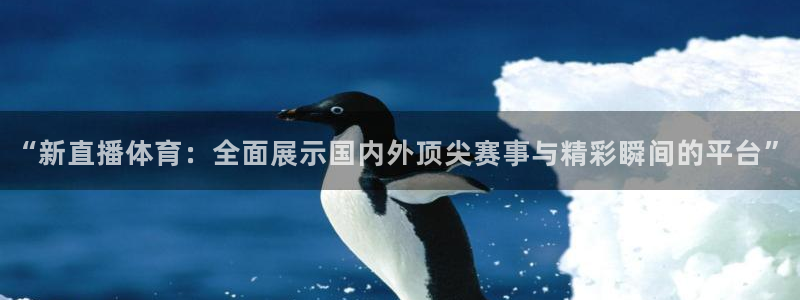 谷爱凌世界杯夺冠 视频：“新直播体育：全面展示国内外顶尖赛事与精彩瞬间的平台”